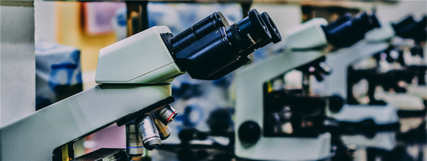In Cosa Consiste Il Dottorato Di Ricerca